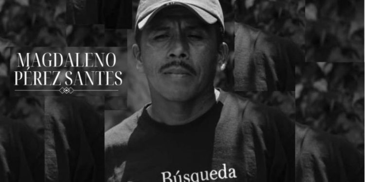 Investigan muerte de padre buscador en Veracruz tras detención policial