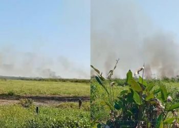 Incendio forestal activo en Chicozapote, Nacajuca, reporta Conafor