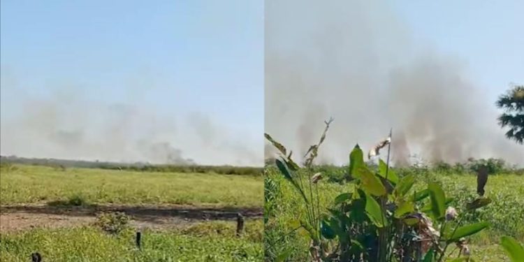 Incendio forestal activo en Chicozapote, Nacajuca, reporta Conafor