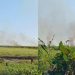 Incendio forestal activo en Chicozapote, Nacajuca, reporta Conafor