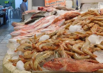 Salud emite recomendaciones para el consumo de pescados y mariscos en Cuaresma
