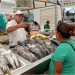Vendedores de pescados y mariscos del mercado Pino Suárez listos para la Cuaresma