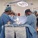 IMSS Veracruz realiza con éxito su primer trasplante de células troncales hematopoyéticas
