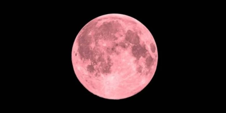 La Luna Rosa uno de los eventos más importantes tendrá lugar en abril 2025