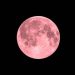 La Luna Rosa uno de los eventos más importantes tendrá lugar en abril 2025
