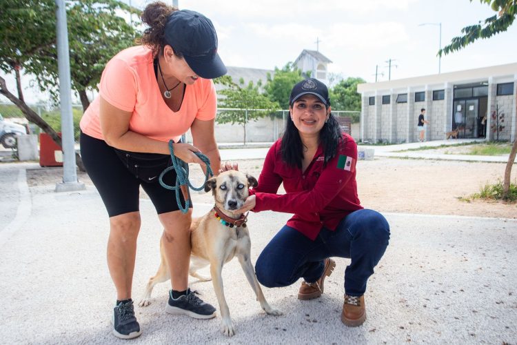 Con Estefanía Mercado al frente, Playa del Carmen está a un paso de hacer historia con su primera clínica gratuita para animales