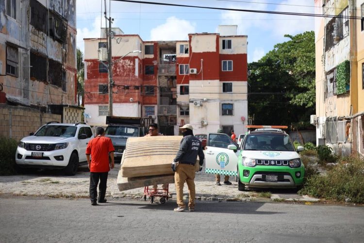 Mantenemos acciones de descacharrización para una ciudad limpia: Ana Paty Peralta