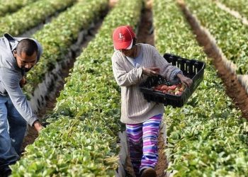 La economía de México creció sorpresivamente durante el primer trimestre de 2025