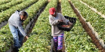 La economía de México creció sorpresivamente durante el primer trimestre de 2025