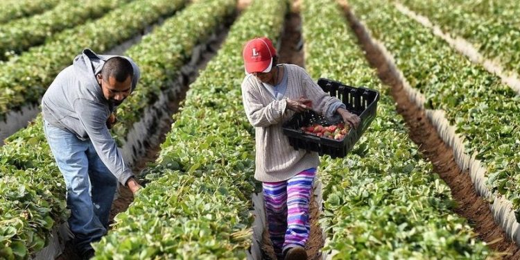 La economía de México creció sorpresivamente durante el primer trimestre de 2025