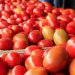 Impondrán un arancel del 20.91% a tomates mexicanos