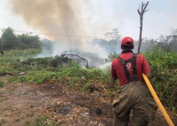 Incendios en Nacajuca y Centla arrasan 430 hectáreas en dos días; ya fueron controlados
