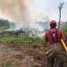 Incendios en Nacajuca y Centla arrasan 430 hectáreas en dos días; ya fueron controlados