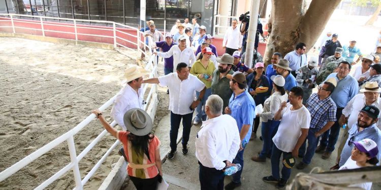 Inicia en Tabasco Barrido Sanitario para más de 1.7 millones de cabezas de ganado