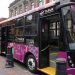 Taruk: El primer autobús eléctrico 100% mexicano ya es una realidad