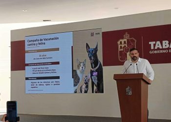 El 15 de mayo inicia campaña de vacunación antirrábica en Tabasco: Secretaría de Salud