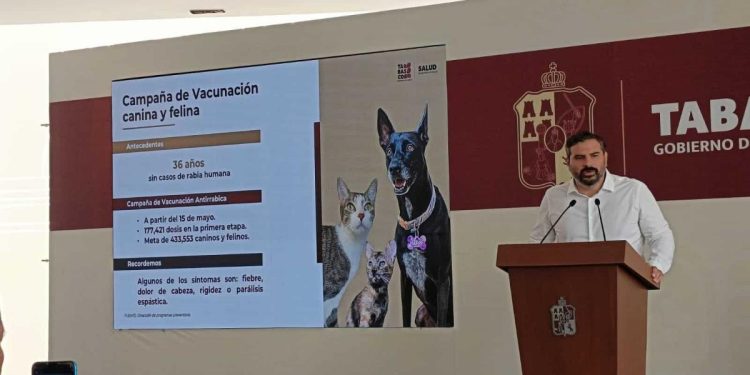 El 15 de mayo inicia campaña de vacunación antirrábica en Tabasco: Secretaría de Salud