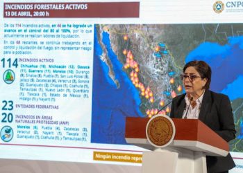 México enfrenta 114 incendios forestales activos en 28 estados: Conafor