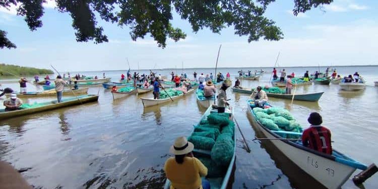 Inicia pago del programa «Pescando Vida» en Cárdenas y Jonuta