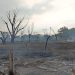 Controlado en un 97% incendio en ranchería Lázaro Cárdenas; continúa labor de enfriamiento