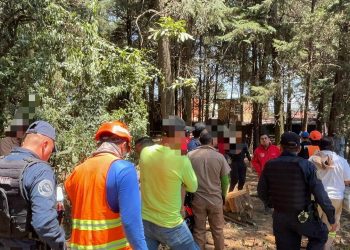 Alcaldía Cuajimalpa asesta golpe a delincuentes ambientales; detienen a 5 por manejo ilegal de recursos naturales
