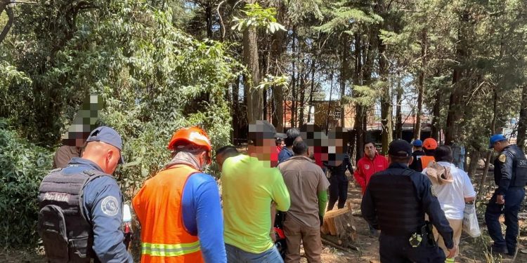Alcaldía Cuajimalpa asesta golpe a delincuentes ambientales; detienen a 5 por manejo ilegal de recursos naturales