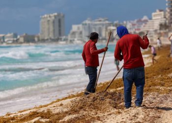 Refuerza Ana Paty Peralta acciones de recolección de sargazo en playas públicas