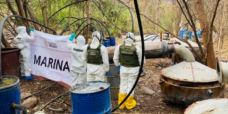 El secretario Omar García Harfuch asegura que la estrategia contra el crimen organizado pacifica al país