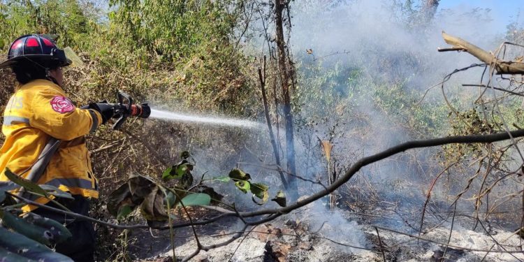 Controlan incendio en CTM y Lilis gracias a respuesta inmediata del Gobierno de Playa del Carmen