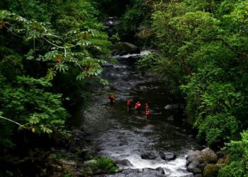 Dos policías mueren tras caer patrulla en barranca de Teocelo