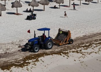 Refuerza Ana Paty Peralta acciones de recolección de sargazo en playas públicas