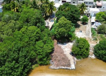 Ecocidio en el puerto de Sisal avanza impunemente con el conocimiento y aparente complicidad de autoridades municipales y federales