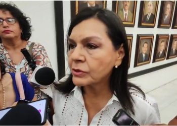 Centro tiene listos dos terrenos para nueva subestación eléctrica: Yolanda Osuna