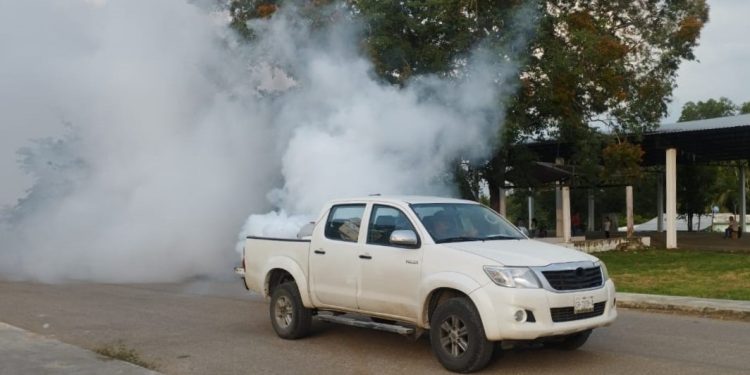 AVANZA CAMPECHE EN EL COMBATE AL DENGUE