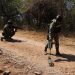 Mueren seis militares por explosión de mina artesanal en zona de conflicto entre Michoacán y Jalisco