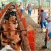 Reportan hasta 400 casos de gusano barrenador en Tabasco