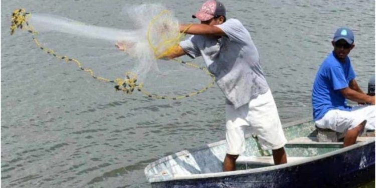 Inicia el primer concurso del pez más grande en la Feria Tabasco 2025