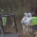 Encuentran fosa clandestina con al menos 15 cuerpos en Irapuato
