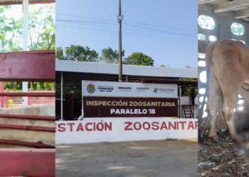Ganaderos denuncian millonarias pérdidas en punto de revisión en Veracruz