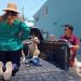 Indigna brutal caso de maltrato animal en Coatzacoalcos; exigen justicia