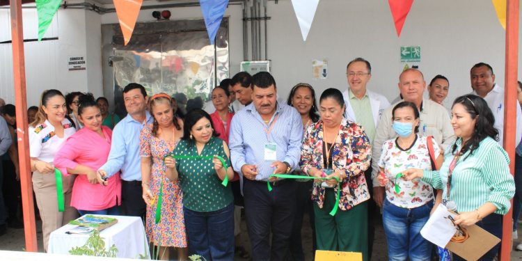 Inauguran huerto medicinal en el Hospital Juan Graham como parte de estrategia de salud comunitaria