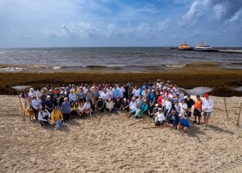 Amexme y el DIF respond en al llamado del gobierno de Estefanía Mercado y se suman con todo al Reto Sargazo en Playa Pelícanos y Fundadores
