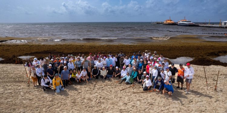 Amexme y el DIF respond en al llamado del gobierno de Estefanía Mercado y se suman con todo al Reto Sargazo en Playa Pelícanos y Fundadores