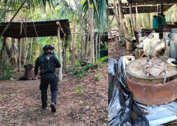 Localizan un laboratorio clandestino en el poblado de Petcacab, en Felipe Carrillo Puerto