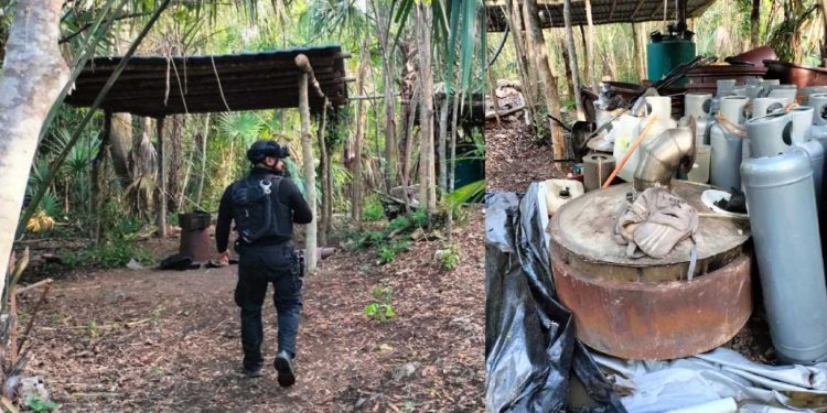 Localizan un laboratorio clandestino en el poblado de Petcacab, en Felipe Carrillo Puerto