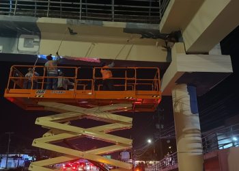Donde antes había colores partidistas, hoy hay identidad; Estefanía Mercado recupera el alma de Playa del Carmen con el color arena playa