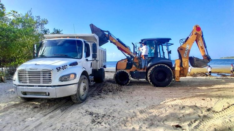 Gobierno de Estefanía Mercado refuerza estrategia contra el sargazo con acciones coordinadas y trabajo permanente en Playa del Carmen