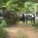 Investiga FGE presunta fosa clandestina en la ranchería Zapotal, Centro