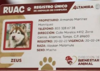 ¡Atención CDMX! Esta es la multa por no tramitar la CURP de tu mascota