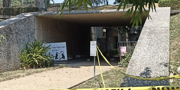 Uso del Ágora como cuartel de la Guardia Nacional será temporal, afirma gobernador